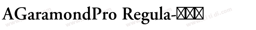 AGaramondPro Regula字体转换